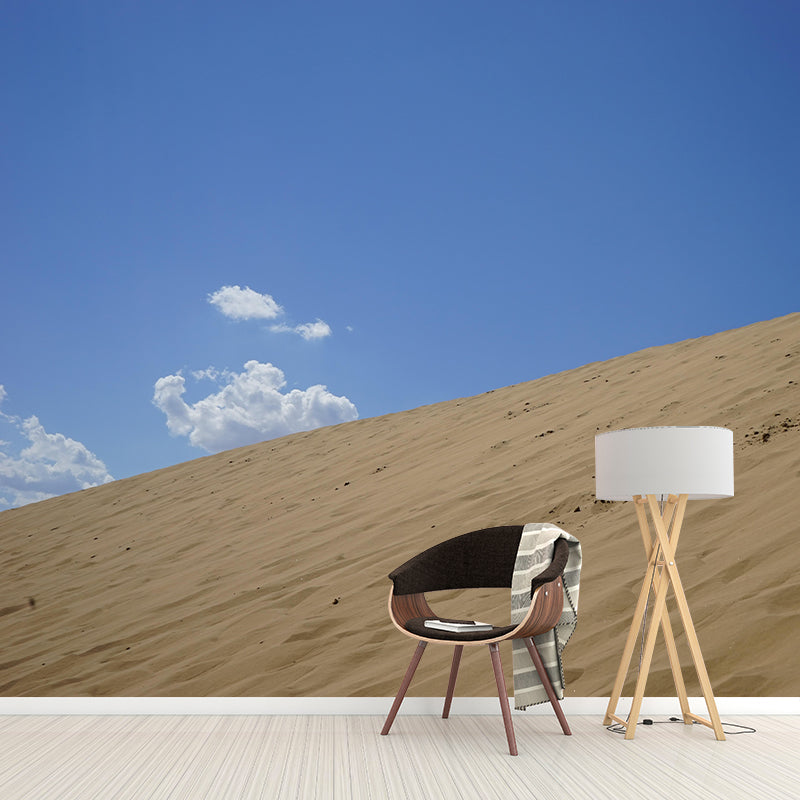 Modern Desert Wall Mural Wallpaper Mildew Resistant for Living Room