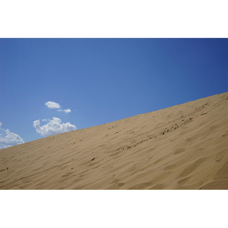 Modern Desert Wall Mural Wallpaper Mildew Resistant for Living Room