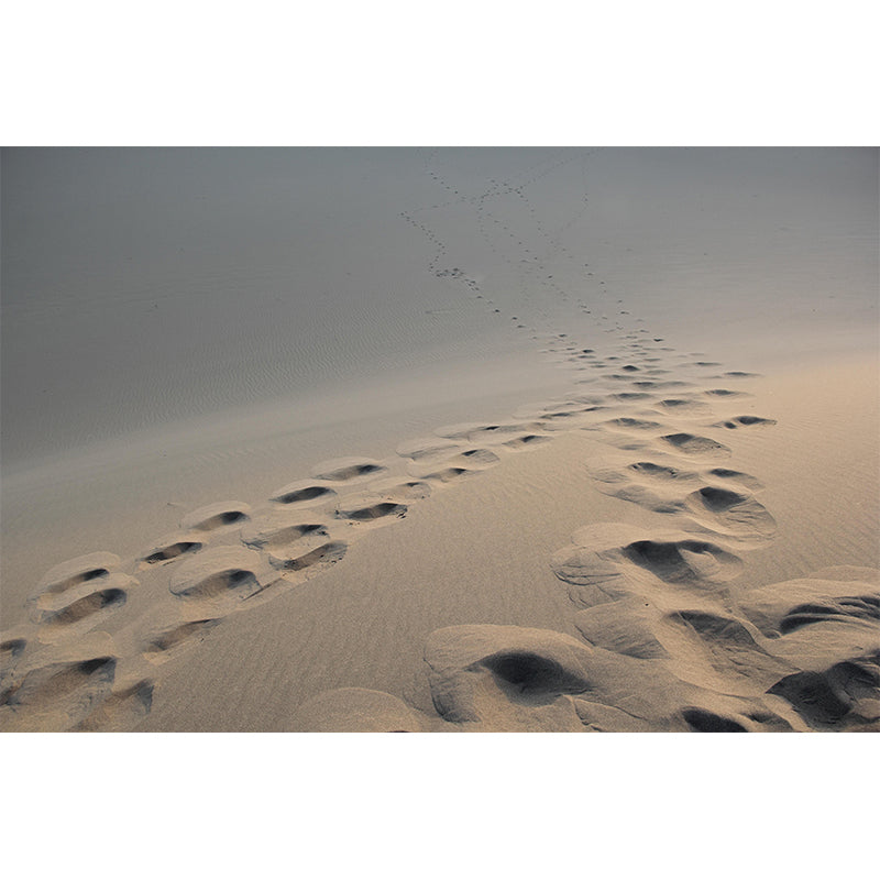 Desert Landscape Mural Wallpaper Modern Style Mildew Resistant for Living Room