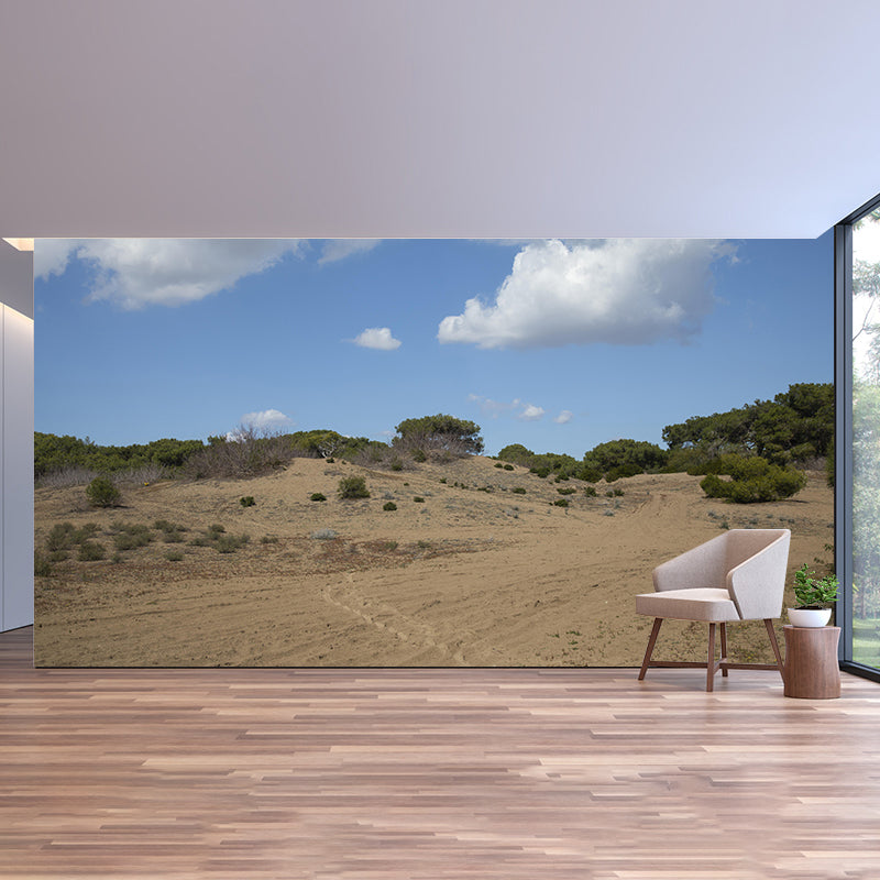 Desert Wall Mural Wallpaper Modern Style Mildew Resistant for Living Room
