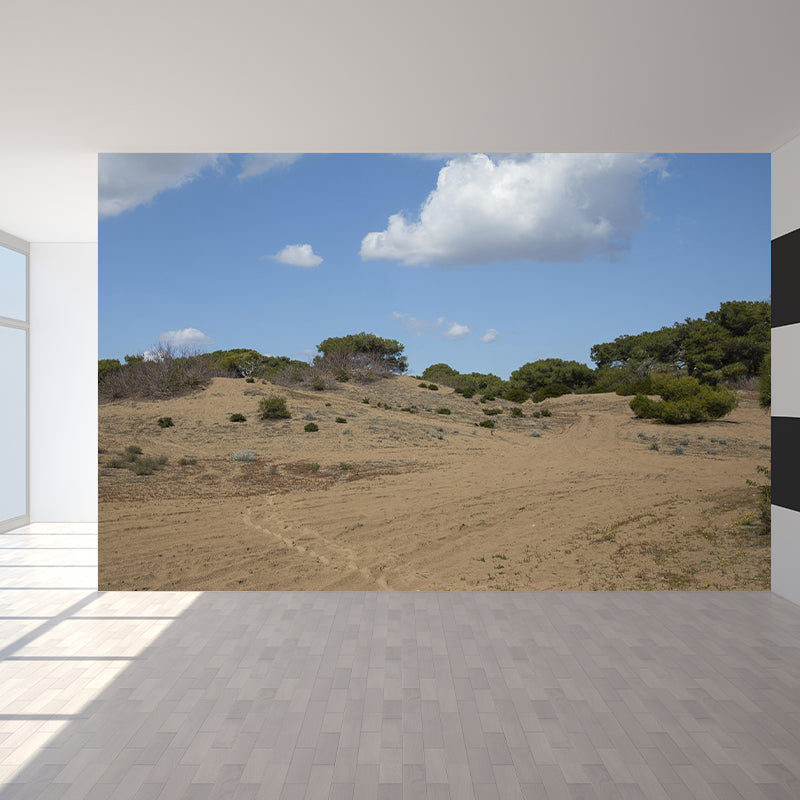 Desert Wall Mural Wallpaper Modern Style Mildew Resistant for Living Room