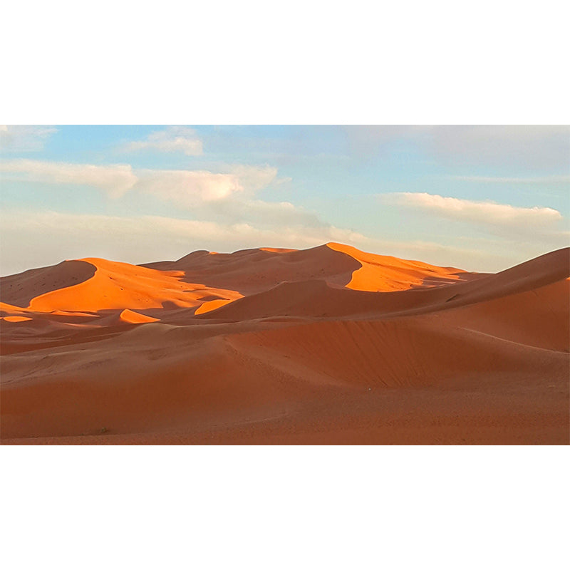 Desert Landscape Mural Wallpaper Modern Style Mildew Resistant for Bedroom