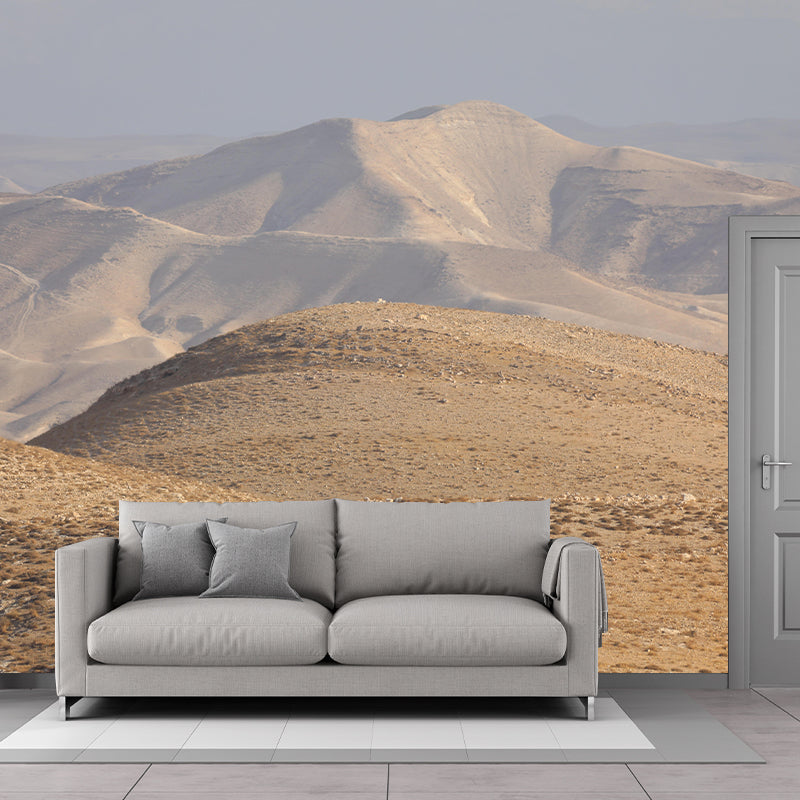 Desert Landscape Mural Modern Style Mildew Resistant for Bedroom