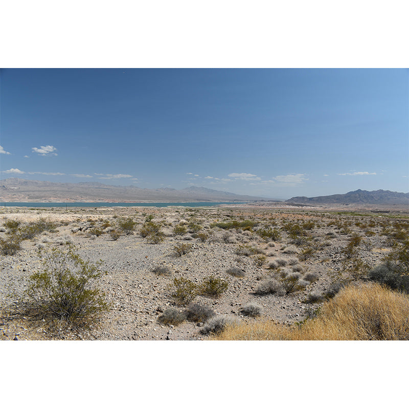 Desert Landscape Wall Mural Wallpaper Modern Mildew Resistant for Decoration