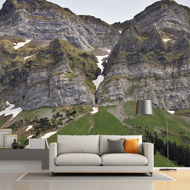 Mountain View Wall Mural Wallpaper Modern Mildew Resistant Wall Covering