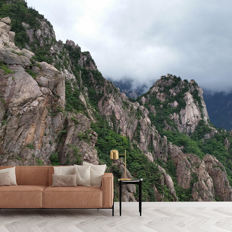 Mountain View Wall Mural Wallpaper Modern Style Mildew Resistant for Dining Room