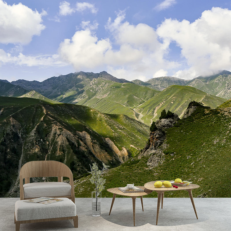 Mountain View Wall Mural Wallpaper Modern Mildew Resistant for Bedroom