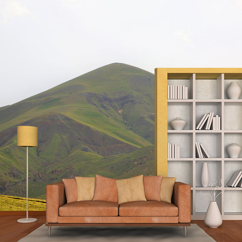 Mountain Wall Mural Wallpaper Modern Mildew Resistant for Decoration