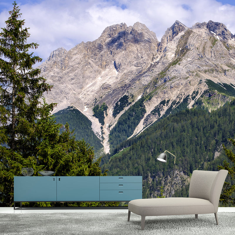 Mountain Wall Mural Wallpaper Modern Mildew Resistant for Decoration