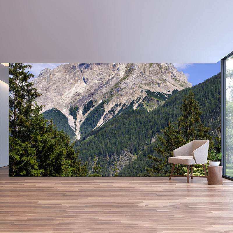 Mountain Wall Mural Wallpaper Modern Mildew Resistant for Decoration