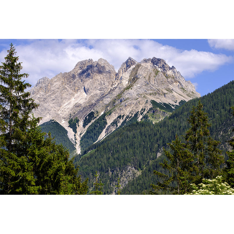 Mountain Wall Mural Wallpaper Modern Mildew Resistant for Decoration