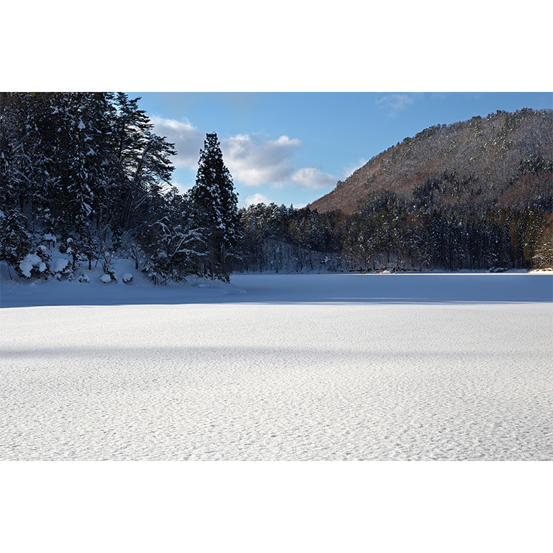 Mountain View Wall Mural Wallpaper Modern Style Mildew Resistant for Decoration