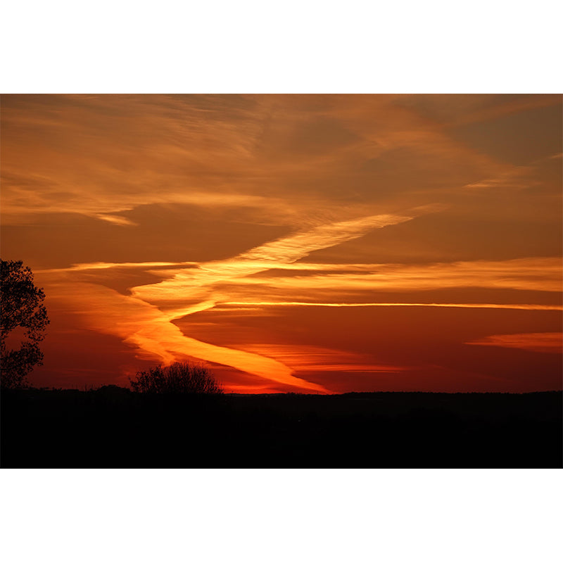 Sky View Wall Mural Wallpaper Modern Style Mildew Resistant for Living Room