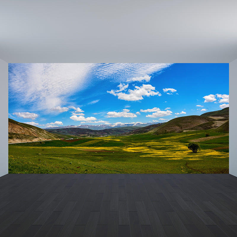 Sky View Wall Mural Wallpaper Modern Style Mildew Resistant for Bedroom