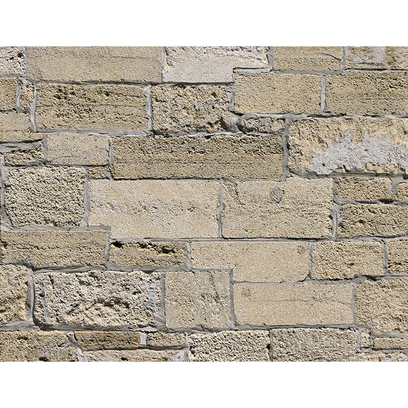 Horizontal Photography Brick Wall Mural Eco-friendly Wallpaper for Home Decor