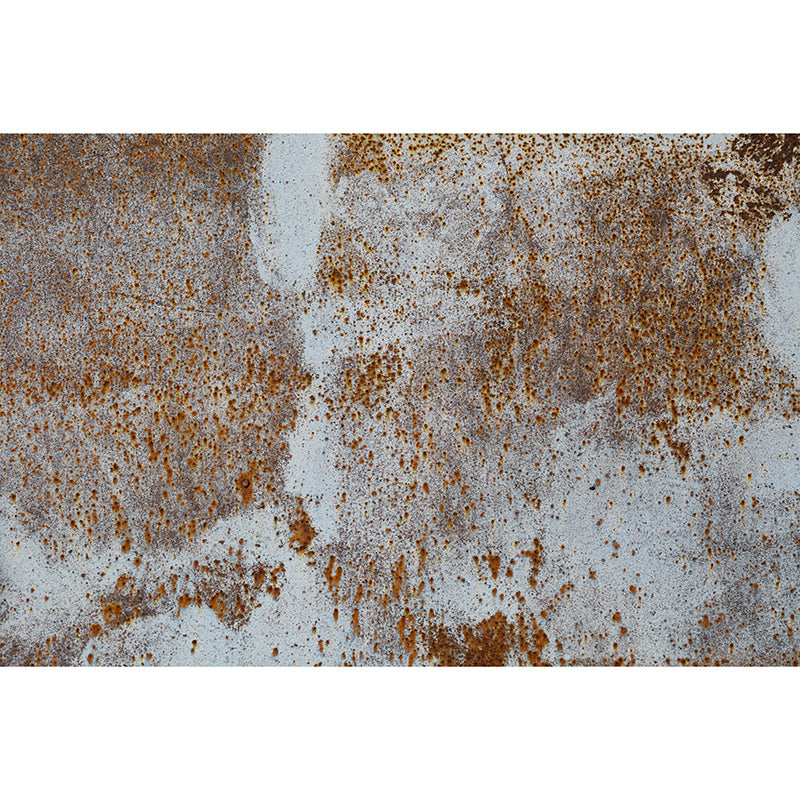 Customized Horizontal Photography Metal Mural Eco-friendly Wallpaper for Home Decor