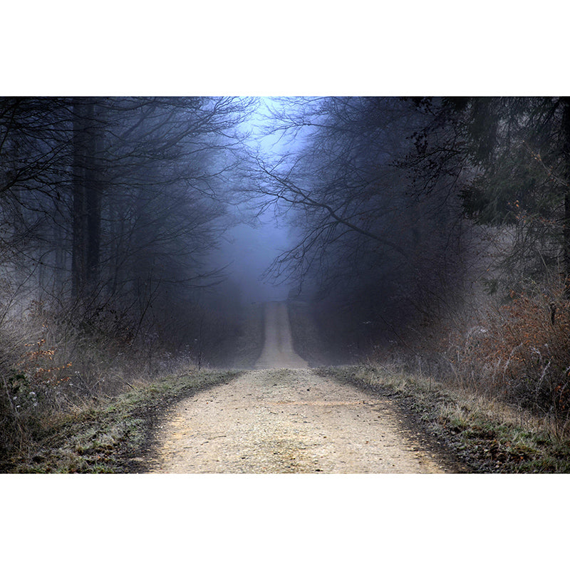 Customized Photography Space Extension Mural Eco-friendly Wallpaper for Living Room