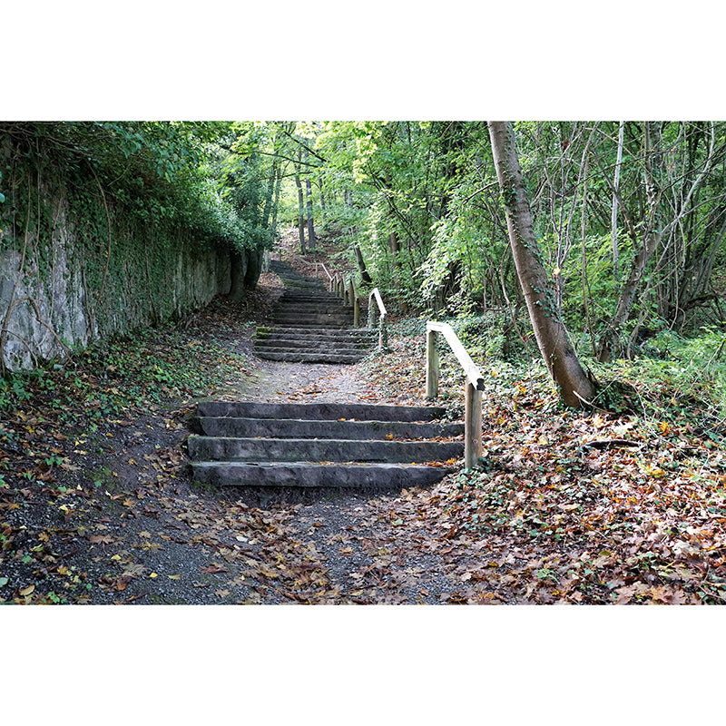 Customized Photography Space Extension Mural Eco-friendly Wallpaper for Bedroom