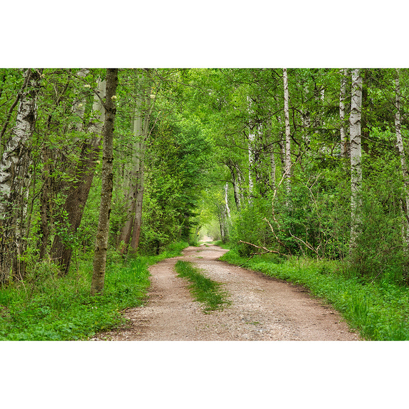 Customized Photography Space Extension Mural Eco-friendly for Home Decor