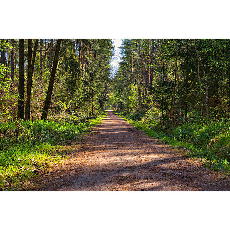 Horizontal Photography Space Extension Mural Eco-friendly Wallpaper for Room