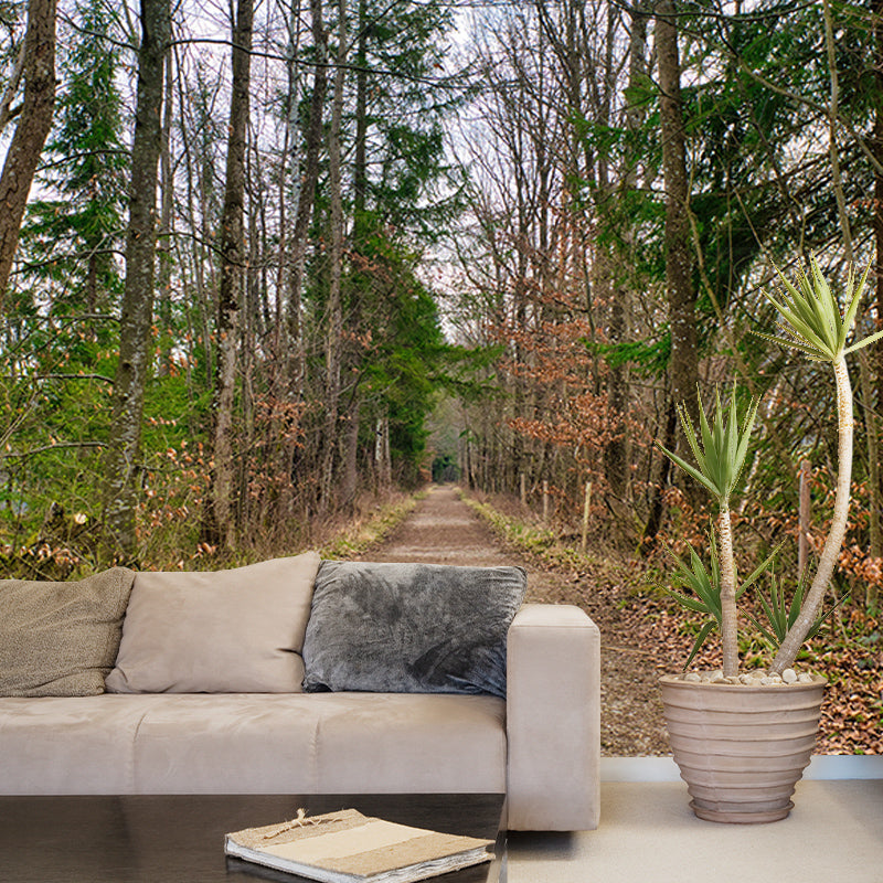 Photography Space Extension Mural Eco-friendly Wallpaper for Room