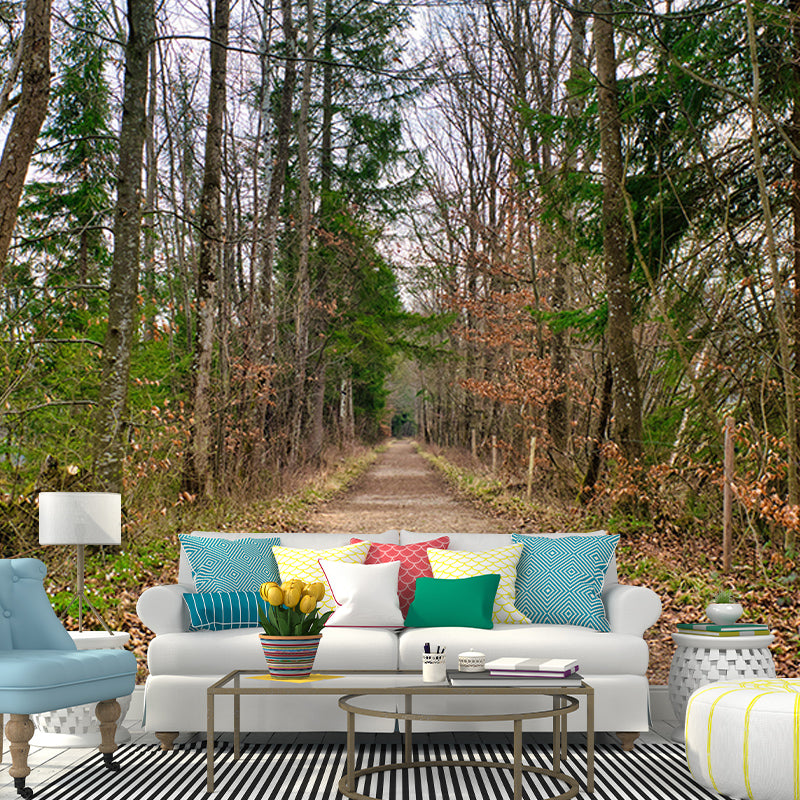 Photography Space Extension Mural Eco-friendly Wallpaper for Room