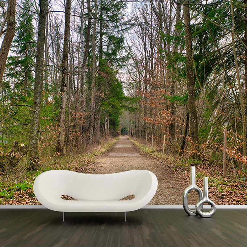 Photography Space Extension Mural Eco-friendly Wallpaper for Room