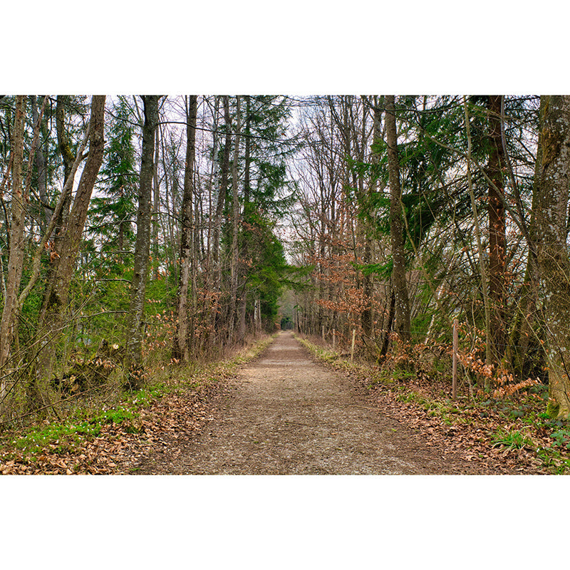 Photography Space Extension Mural Eco-friendly Wallpaper for Room