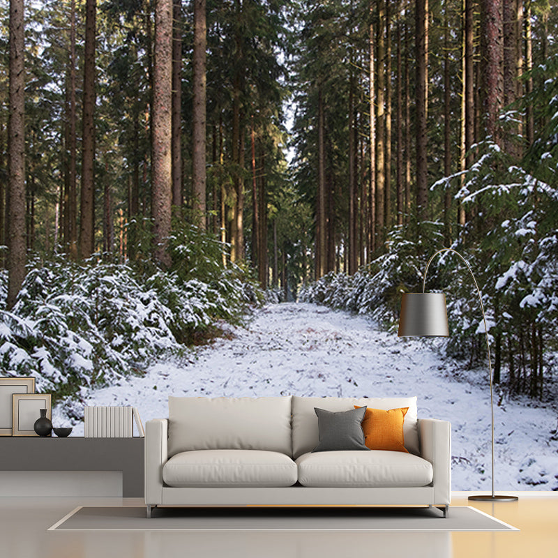 Customized Photography Space Extension Mural Eco-friendly Wallpaper for Wall Decor