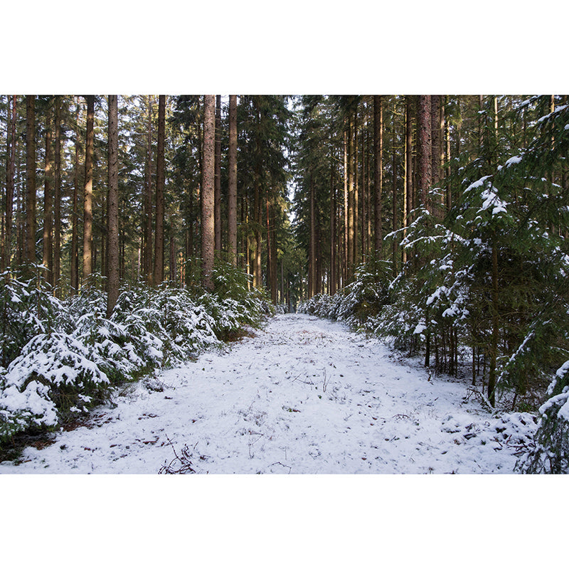 Customized Photography Space Extension Mural Eco-friendly Wallpaper for Wall Decor