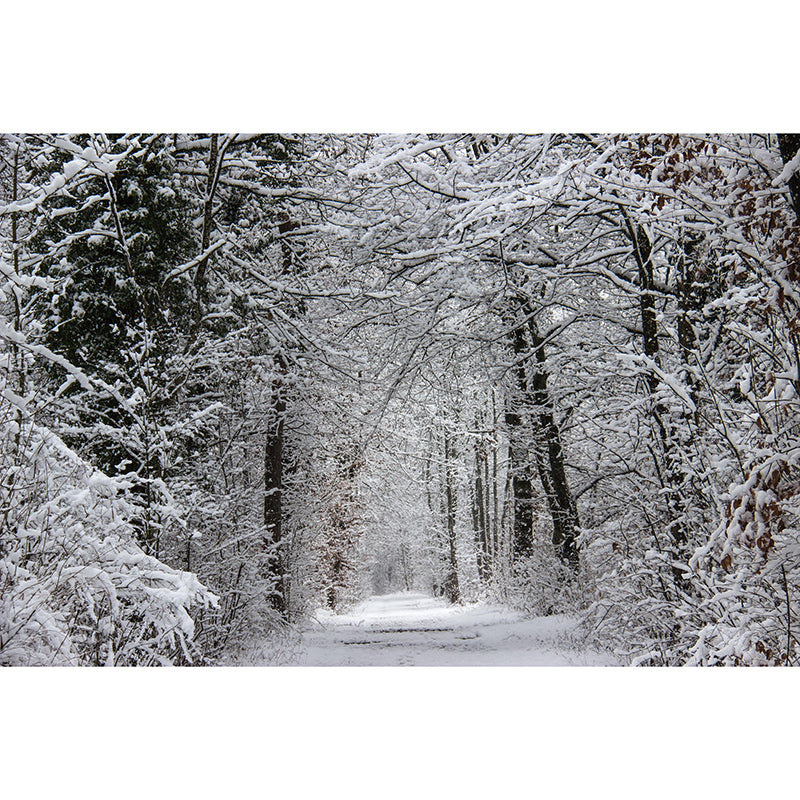 Horizontal Photography Space Extension Mural Eco-friendly Wallpaper for Wall Decor