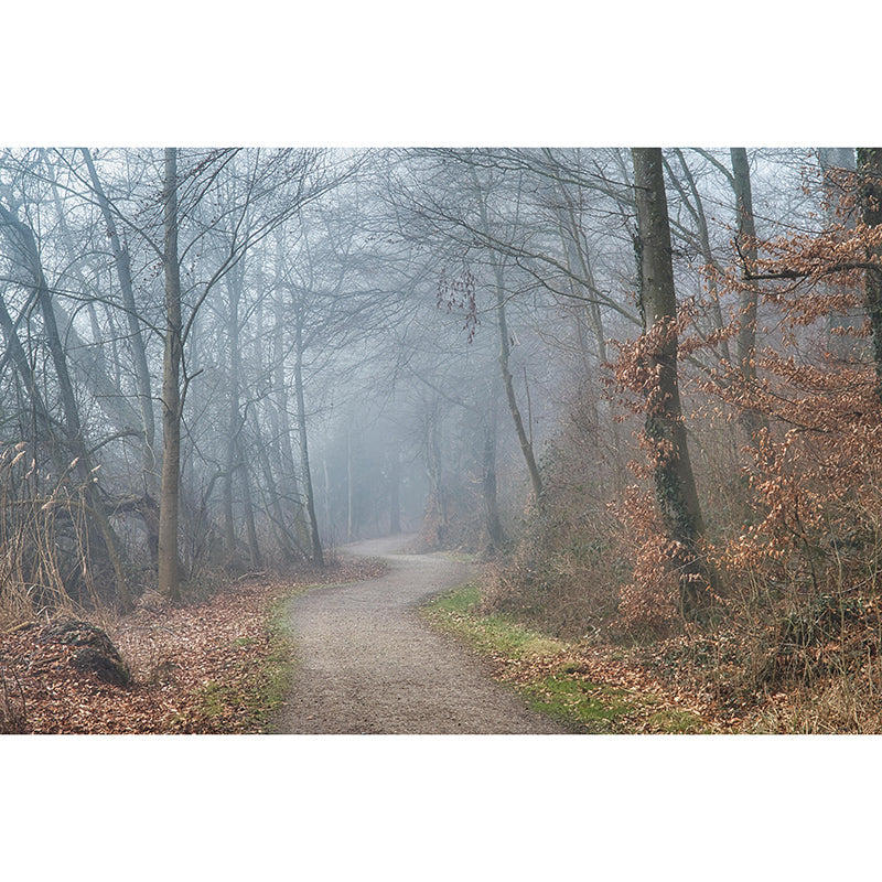 Customized Photography Space Extension Mural Eco-friendly Wallpaper for Home Decor