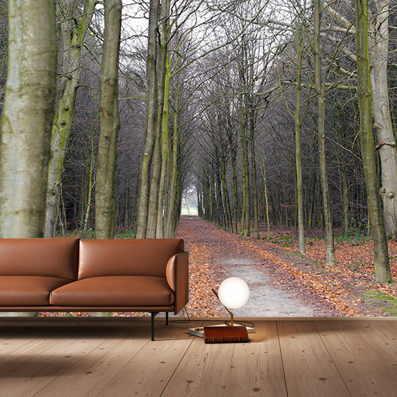 Horizontal Photography Space Extension Mural Eco-friendly Wallpaper for Home Decor