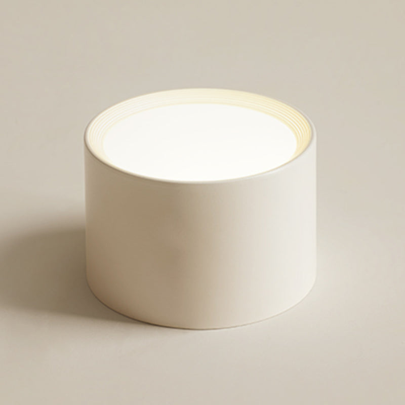 Modern Minimalist LED Flush Mount Iron Cylindrical Ceiling Light with Acrylic Shade