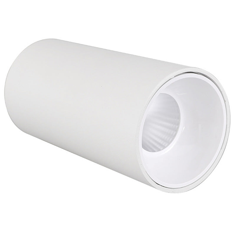 Lámpara de techo LED con forma de cilindro, montaje empotrado de 1 luz de aluminio moderno para dormitorio