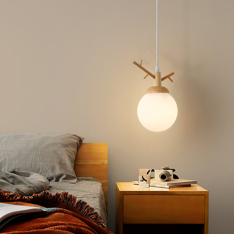 Globe Glass Hanging Lamp in moderne eenvoud houten hanglamp voor eetkamer