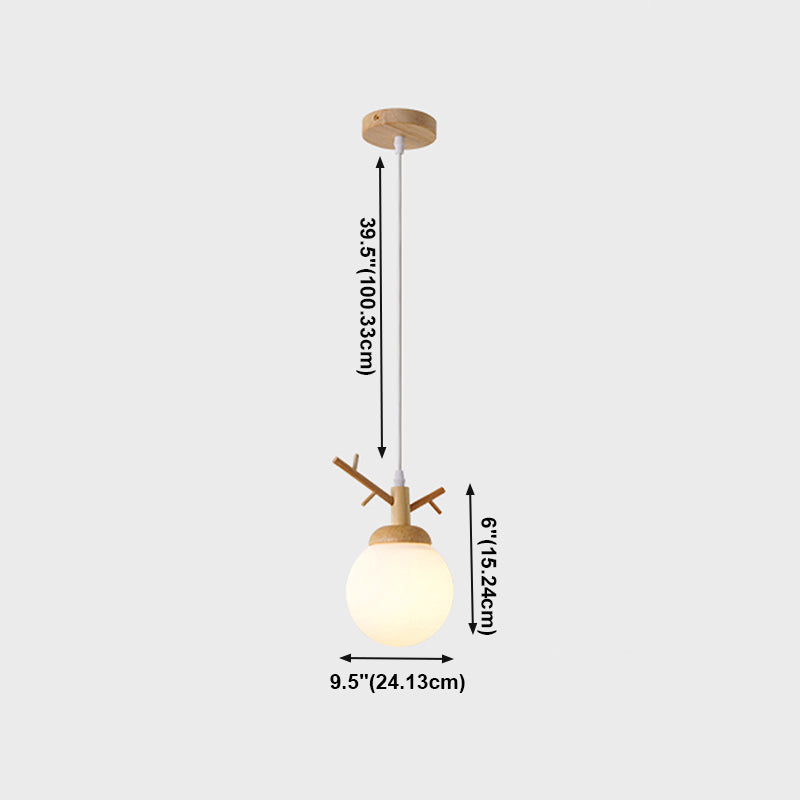 Globe Glass Hanging Lamp in moderne eenvoud houten hanglamp voor eetkamer