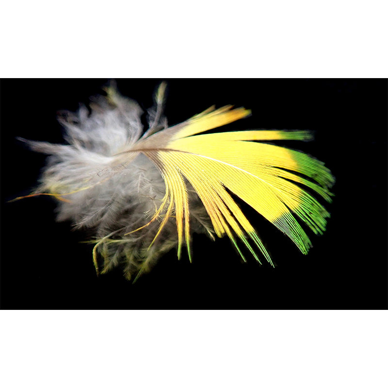 Plumage Mildew Resistantt Wall Art for Living Room Bedroom, Made to Measure