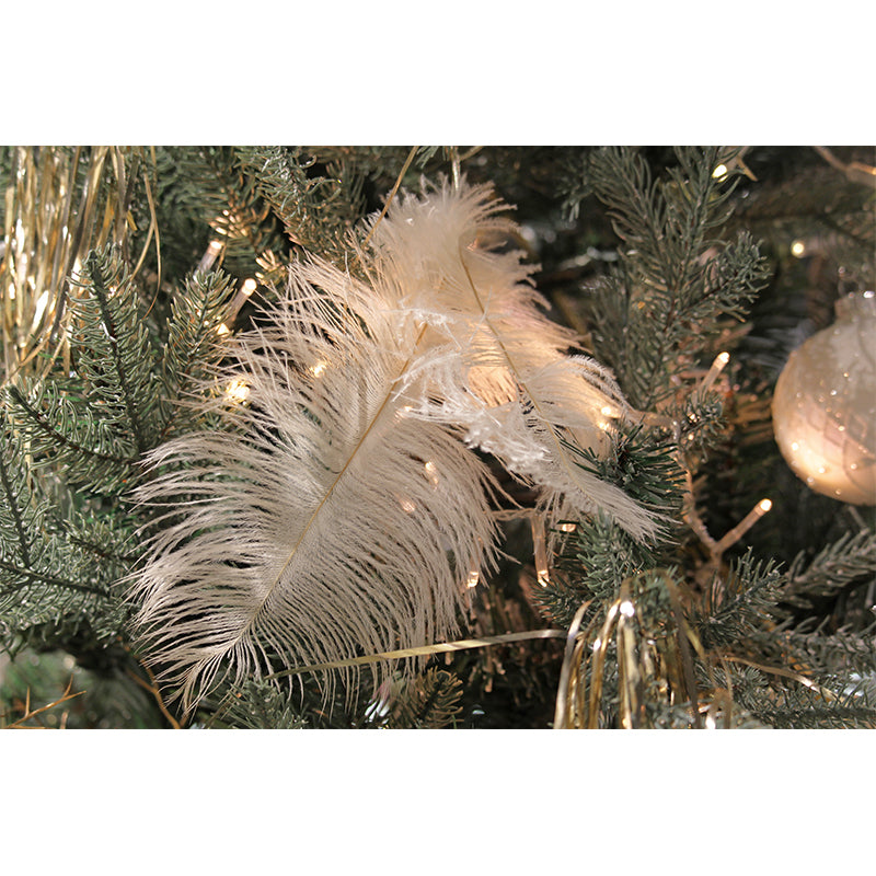 Plumage Wall Mural for Guest Room, Moisture Resistant, Personalized Size Available