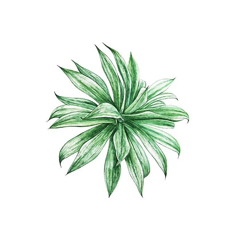 Mildew Resistant Tropical Plant Mural Wallpaper Decorative Wall Art for Wall Decor