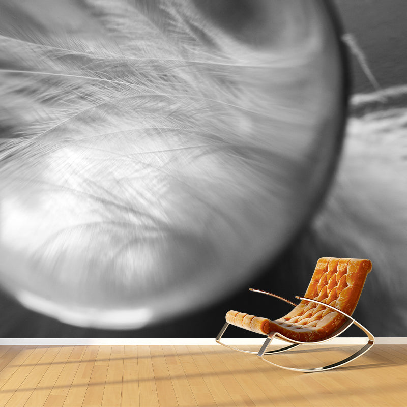 Mildew Resistant Bird Feather Mural Wallpaper Decorative Wall Art for Wall Decor