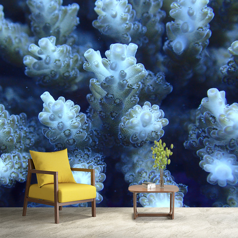 Underwater Photos Contemporary Wall Art Waterproofing Mural Wallpaper for Dining Room