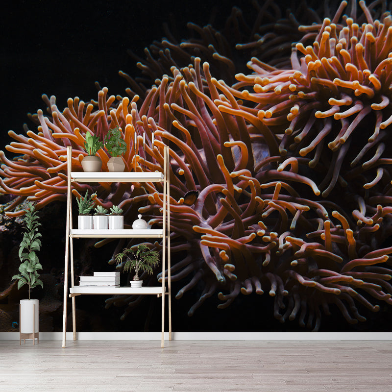 Underwater Photos Contemporary Wall Art Waterproofing Mural Wallpaper for Dining Room