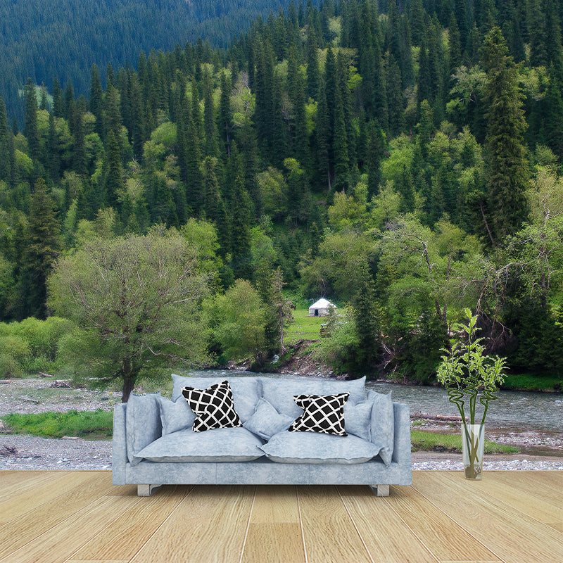 Pine Forest View Murals for Sleeping Room Home Decor, Moisture Resistant