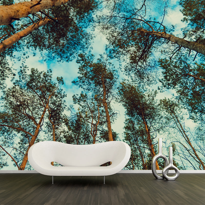 Pine Forest View Murals for Sleeping Room Home Decor, Moisture Resistant