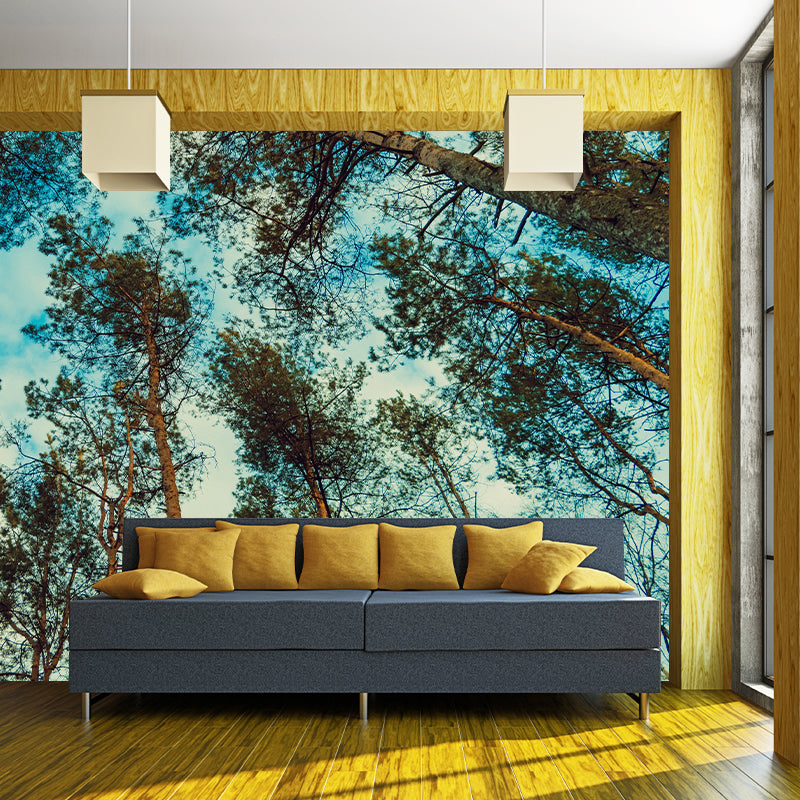 Pine Forest View Murals for Sleeping Room Home Decor, Moisture Resistant