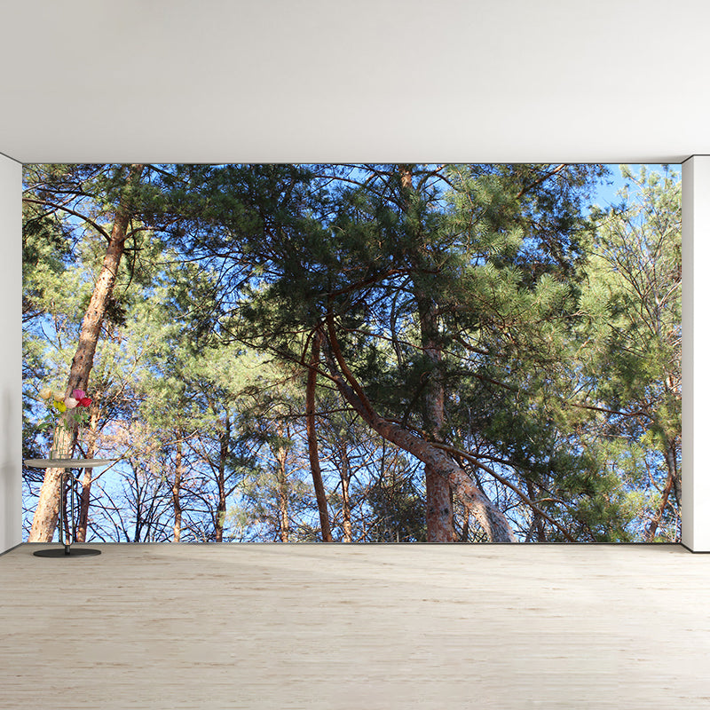 Pine Forest Wall Murals Moisture Resistant Wall Decor for Sleeping Room