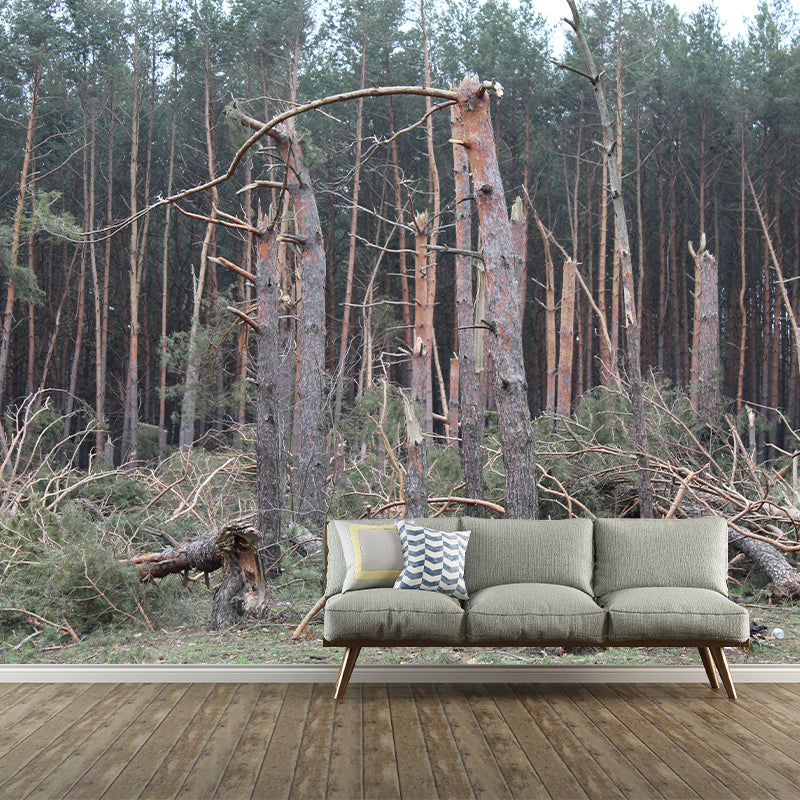 Pine Forest Landscape Wall Murals Moisture Resistant Wall Decor for Sleeping Room