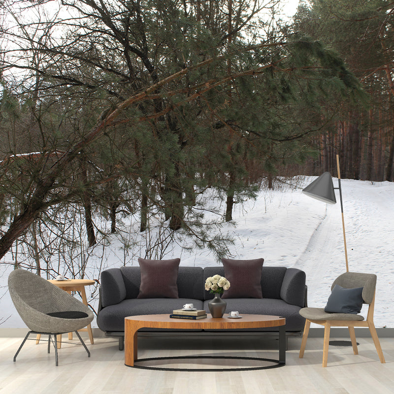 Pine Forest Landscape Wall Murals Moisture Resistant Wall Decor for Sleeping Room