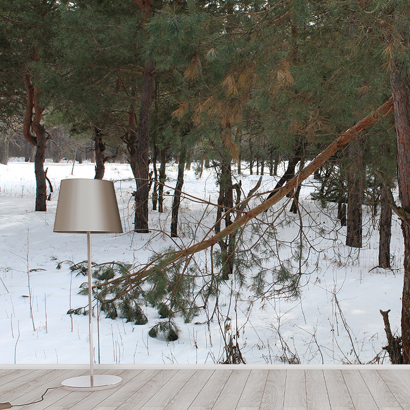 Pine Forest Landscape Wall Murals Moisture Resistant Wall Decor for Sleeping Room